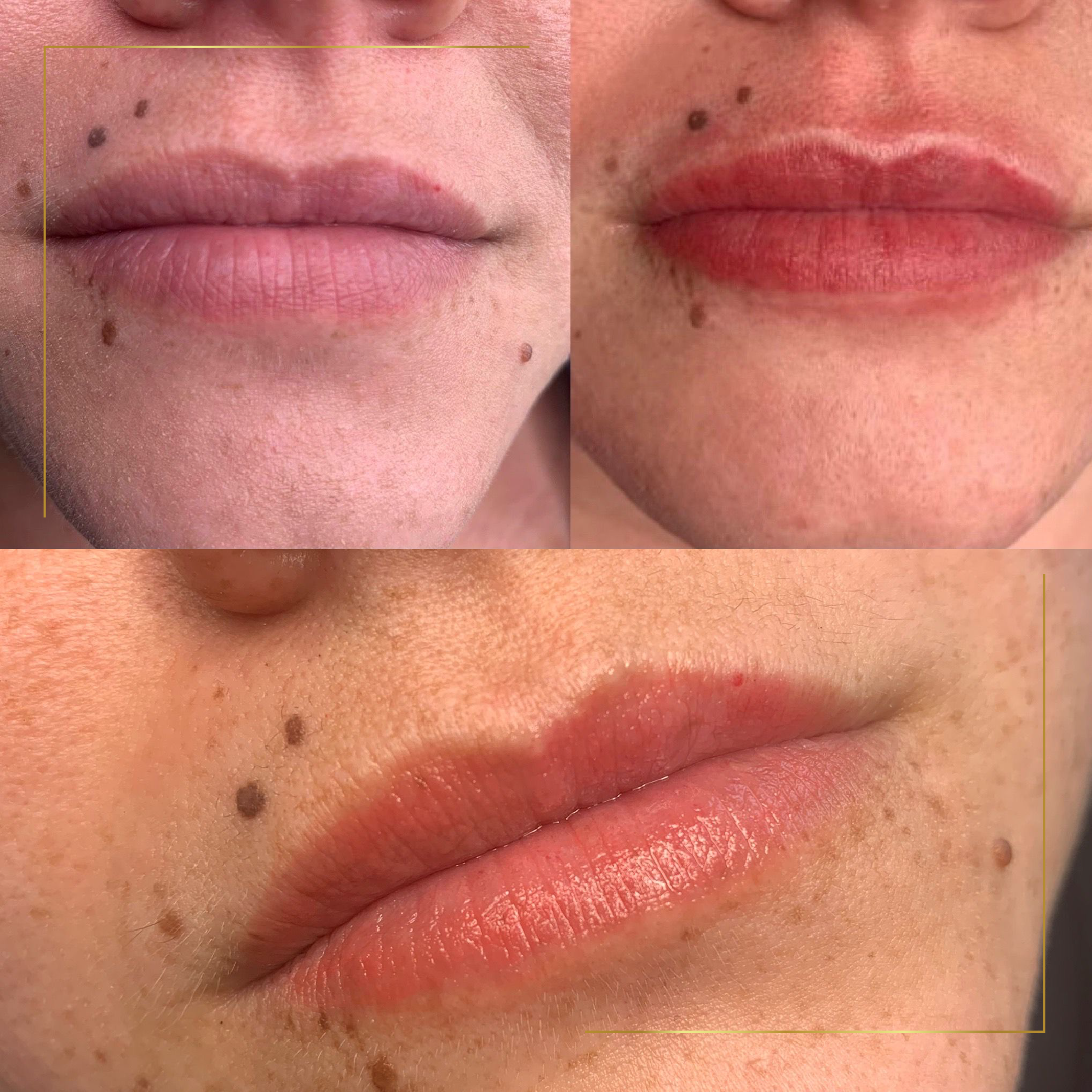 full lip pigment permanent makeup