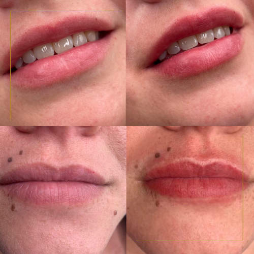 full lip pigment permanent makeup